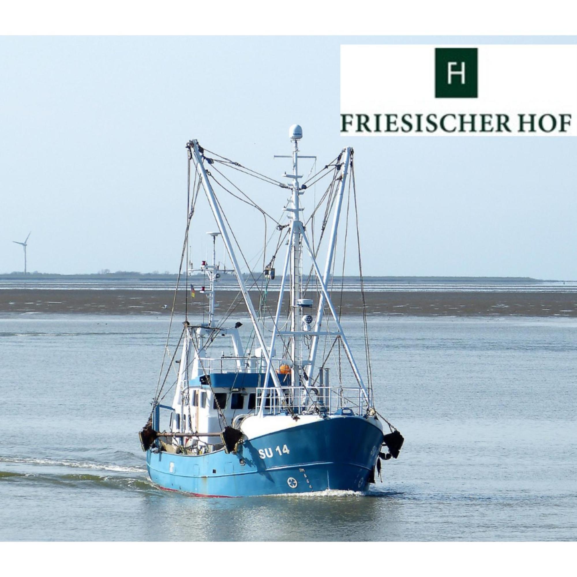 Friesischer Hof, Ferienwohnungen Mit Indoor Spielplatz, Kostenfreien Parkplatz Und W-Lan Hage Phòng bức ảnh